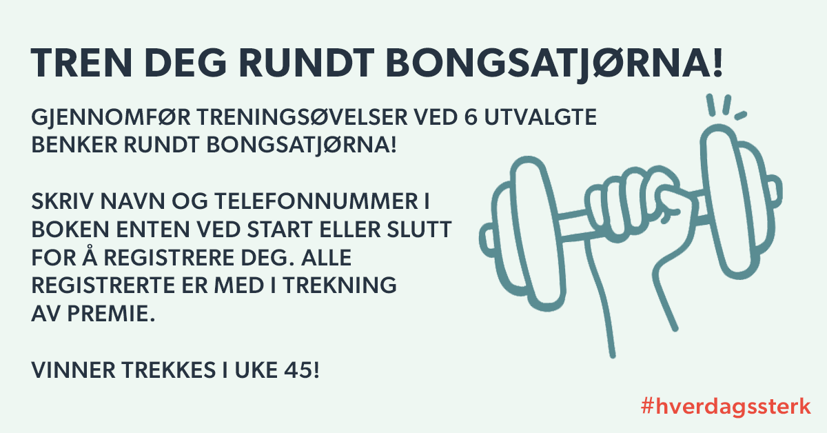 Plakat med tittelen Tren deg rundt Bongsatjørn - Klikk for stort bilde