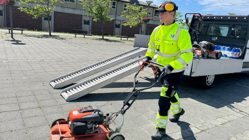 Lenke til artikkel: Fra språkpraksis til sommerjobb