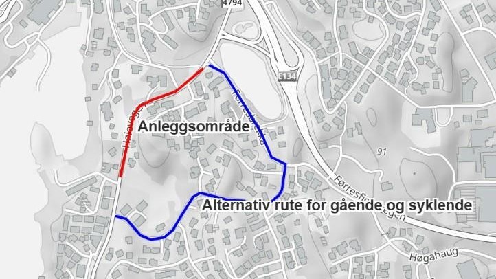 Lenke til artikkel: Vegarbeid 