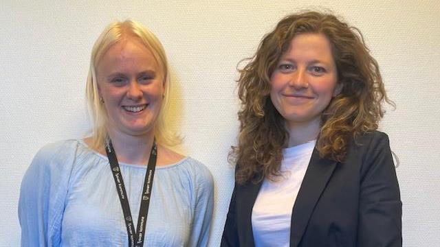 Lenke til artikkel: Ferievikarene er i gang