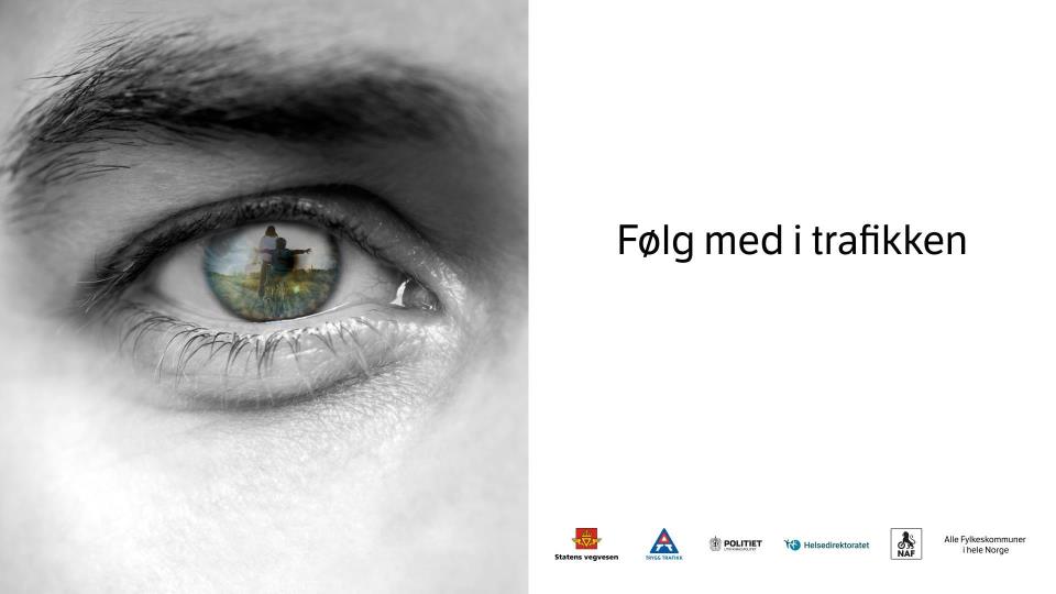 Lenke til artikkel: Følg med i trafikken!