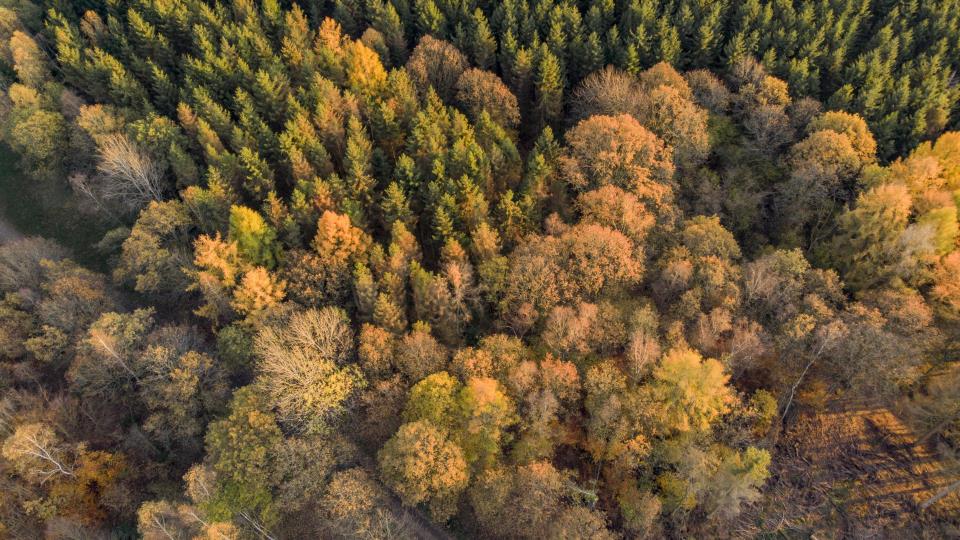 Lenke til artikkel: Flyfotografering i Tysvær – viktig arbeid starter i mars/april