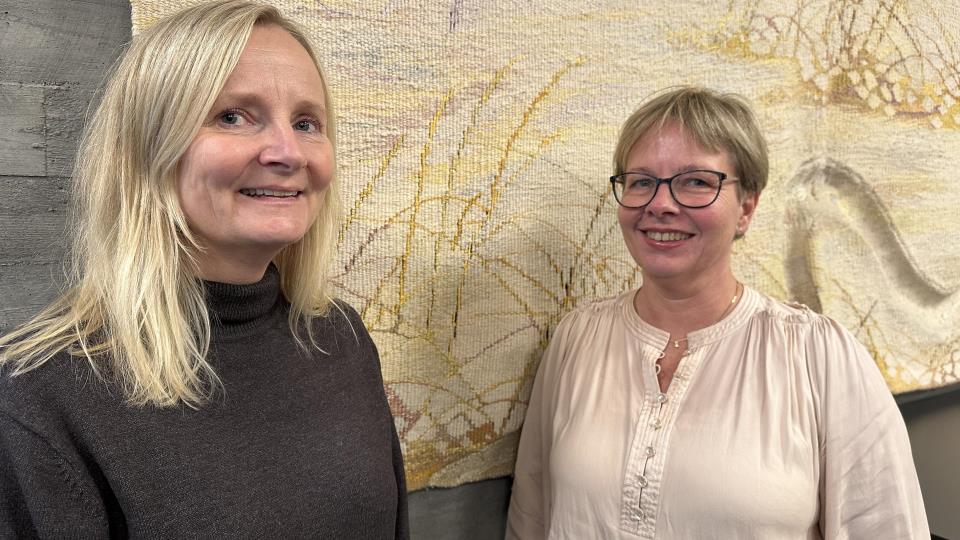 Lenke til artikkel: Digitalisering og digital innbyggerdialog