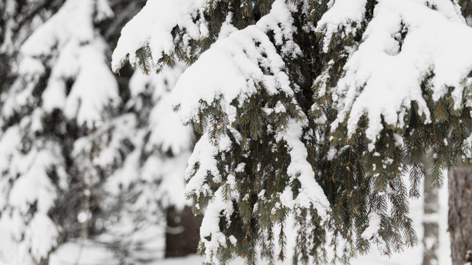Lenke til artikkel: Snøværet skaper utfordringer for hjemmetjenesten – vi ber om forståelse og hjelp