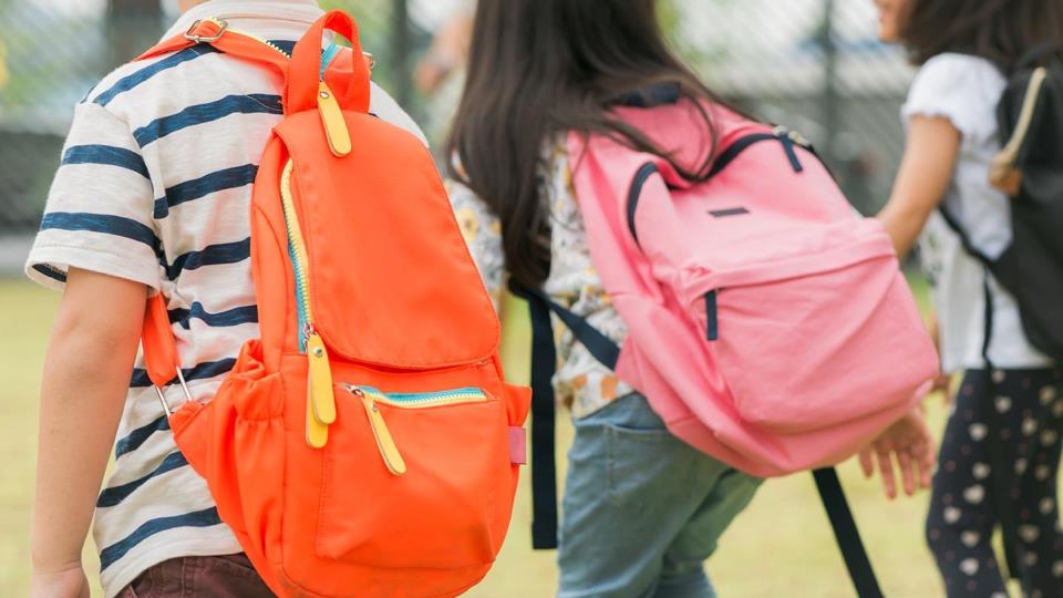 Lenke til artikkel: Skolestart skoleåret 2024/2025