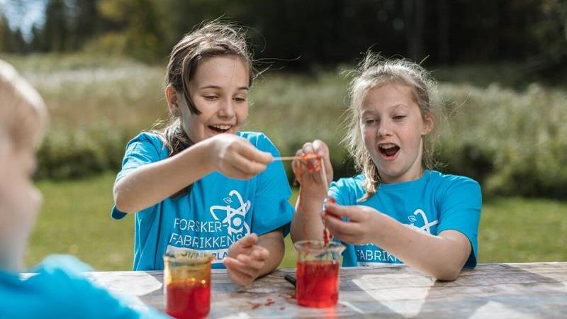 Lenke til artikkel: Forskerfabrikkens sommerskole 2025
