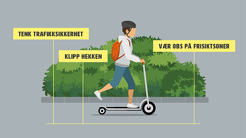 Lenke til artikkel: Tenk trafikksikkerhet - klipp hekken