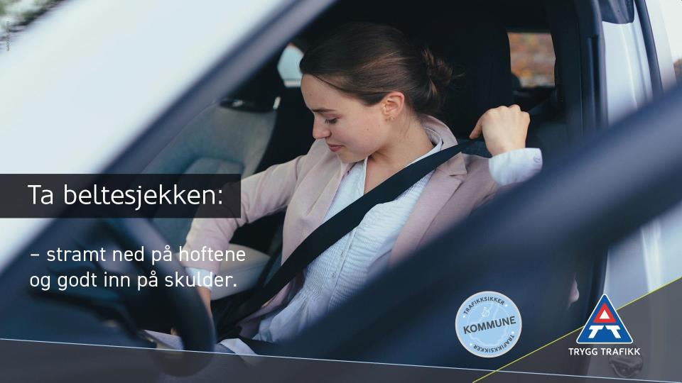 Lenke til artikkel: Ta beltesjekken
