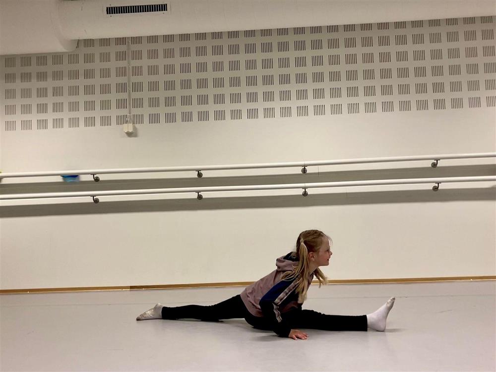 Klikk for stort bilde