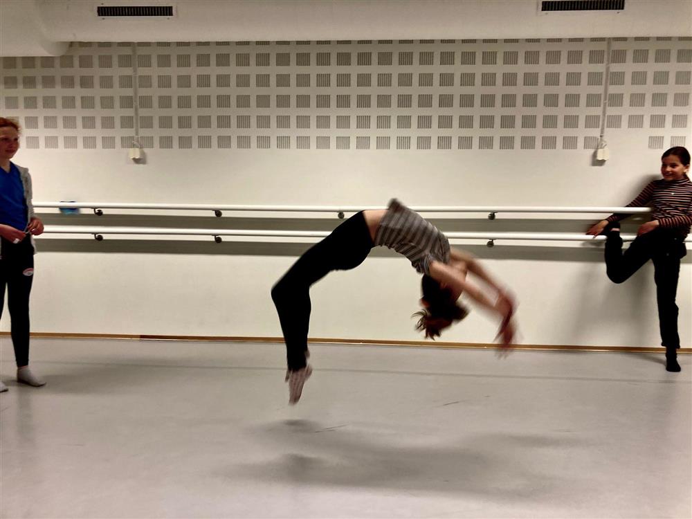 Klikk for stort bilde